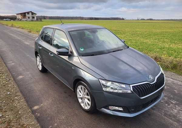 Skoda Fabia cena 58900 przebieg: 12400, rok produkcji 2019 z Namysłów małe 121